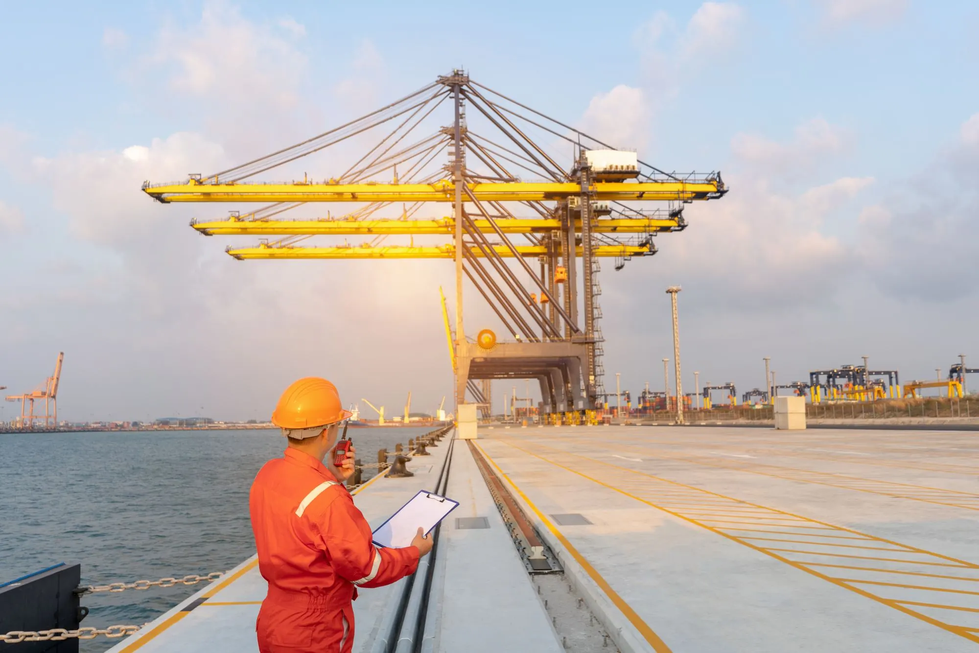 Port inspector at dockside